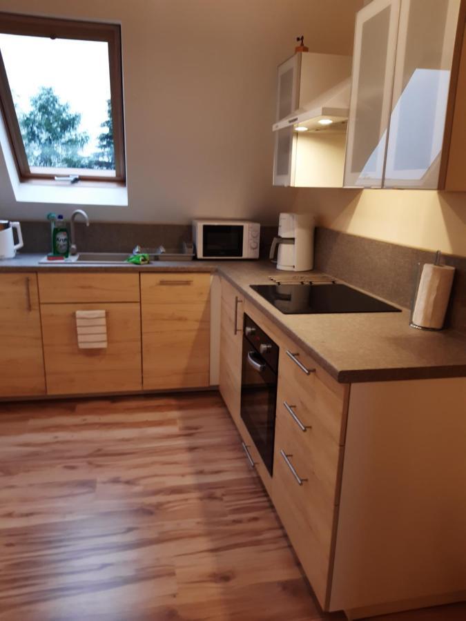 Apartamenty Nad Wisla 斯卡维纳 外观 照片