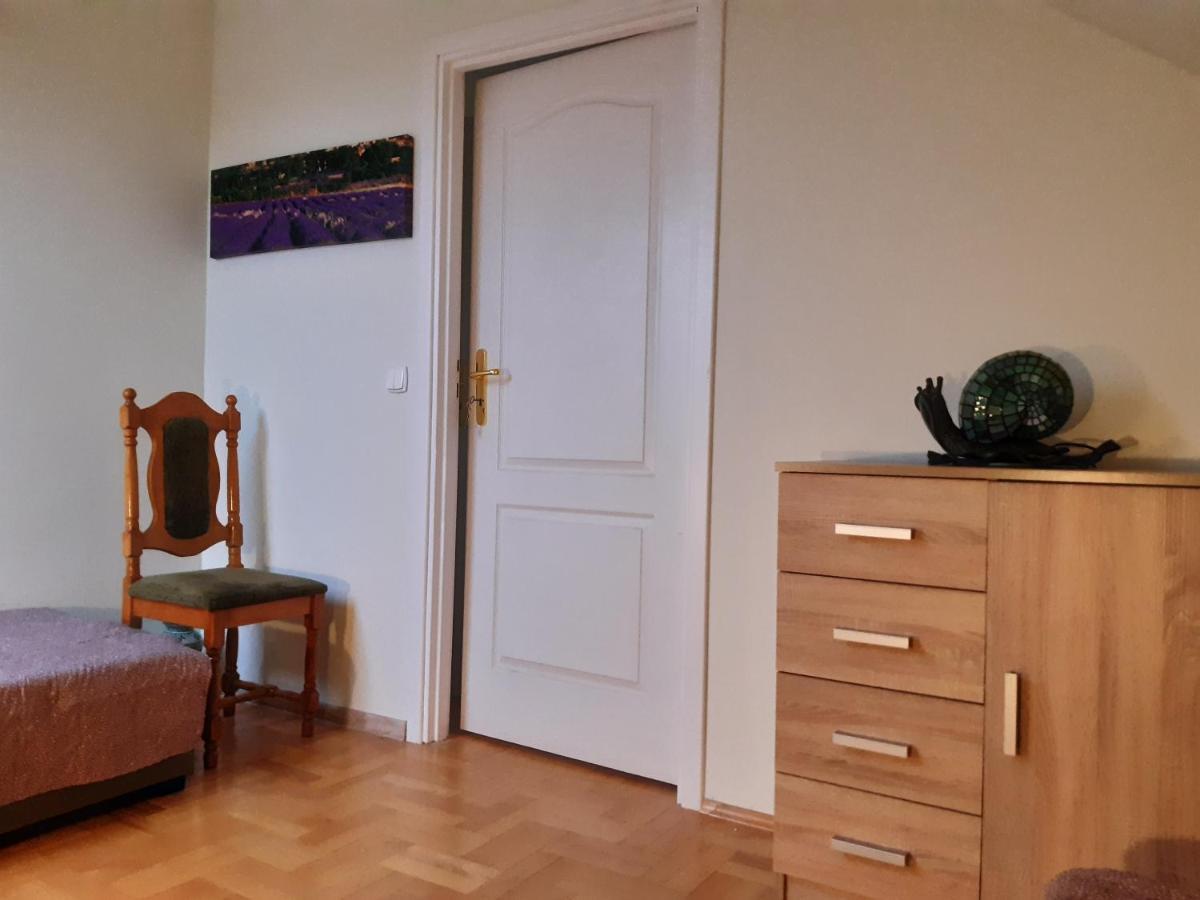 Apartamenty Nad Wisla 斯卡维纳 外观 照片